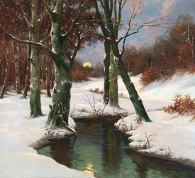 Winterlandschap met opkomende maan